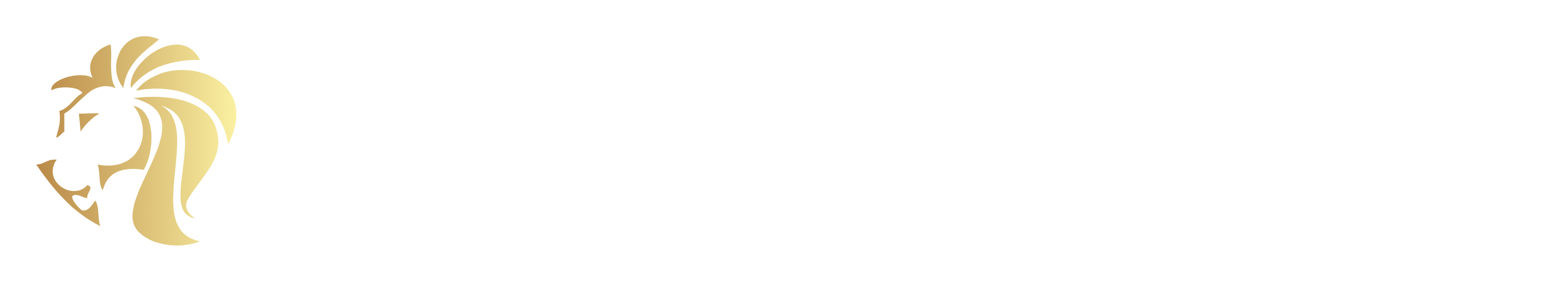 MCE Capital Partners